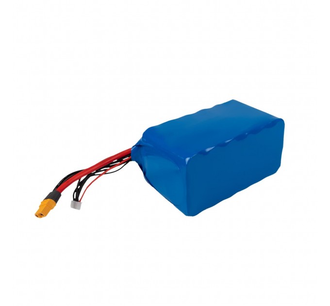 Акумулятор Li-ion 22,2V 12600 mAh (279,7Wh) 135A Molicel Високострумовий 6S3P