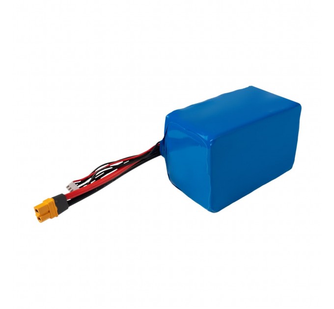 Акумулятор Li-ion 22,2V 16800 mAh (373Wh) 180A Molicel Високострумовий 6S4P