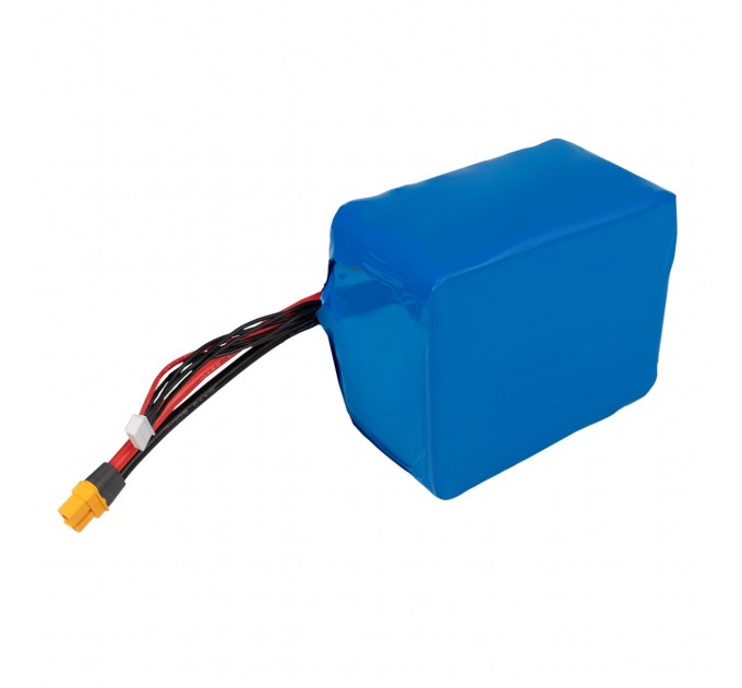 Акумулятор Li-ion 22,2V 21000 mAh (466Wh) 225A Molicel Високострумовий 6S5P