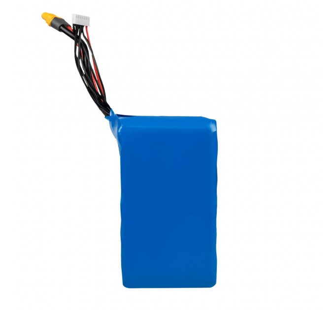 Акумулятор Li-ion 22,2V 12600 mAh (279,7Wh) 135A Molicel Високострумовий 6S3P