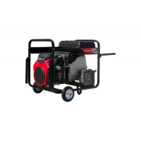 Бензиновий генератор AGT 16503 HSBE R16