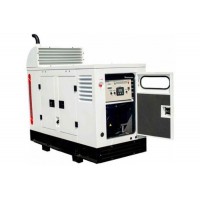 Дизель генератор 30 кВт DALGAKIRAN DJ44CP у кожусі