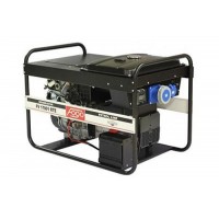 Бензиновий генератор Fogo FV 17001 RTE