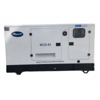 Дизельний генератор Malcomson ML55-R3