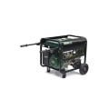 Бензиновий генератор Iron Angel EG 5500E