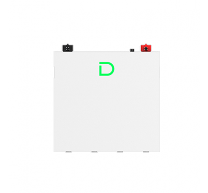 Акумуляторна батарея Dyness DL5.0C Pro LiFePO4 51.2V 100Ah 5.12kWh