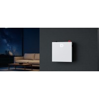 Акумуляторна батарея Dyness DL5.0C Pro LiFePO4 51.2V 100Ah 5.12kWh