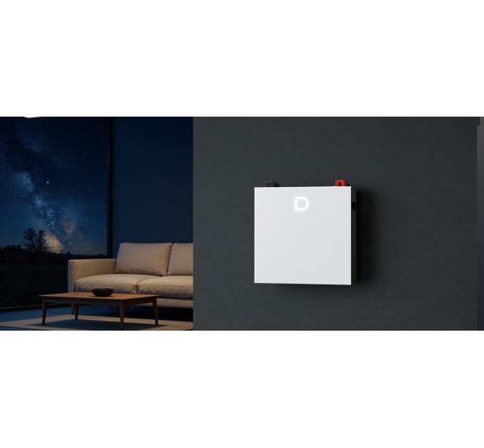 Акумуляторна батарея Dyness DL5.0C Pro LiFePO4 51.2V 100Ah 5.12kWh